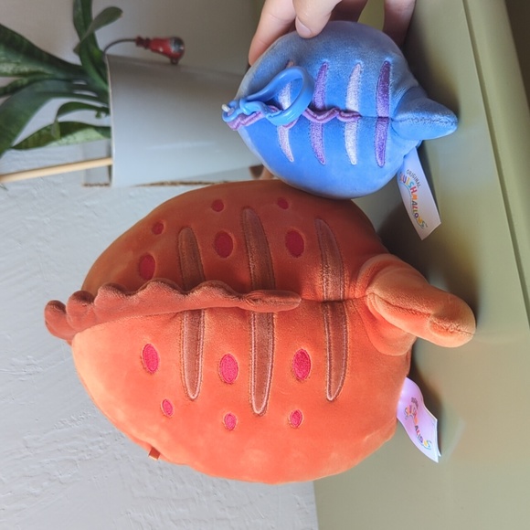 Two eel squishmallows - Picture 2 of 3